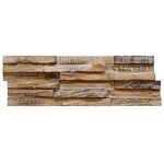 vidaXL Panneaux de revêtement mural 3D 10 Pièces 1 01 m² Bois de teck