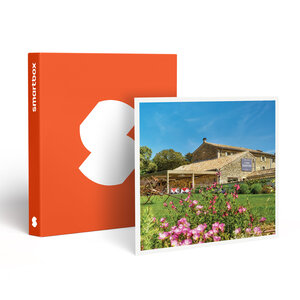 SMARTBOX - Coffret Cadeau Séjour de 2 jours avec dîner en hôtel 4* près de Montélimar -  Séjour