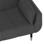 vidaXL Canapé-lit à 2 places avec deux oreillers Gris foncé Velours