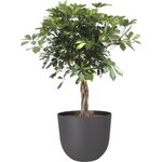 ARTEVASI - Pot havana natural 30cm vulcain 30 x 30 x h24,9 cm - 0,91l