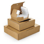 Boîte postale carton brune avec calage mousse rajapack'mousse 20x14x6 cm (lot de 50)