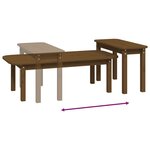 vidaXL Ensemble de tables basses 2 Pièces Marron miel Bois massif de pin