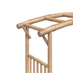 vidaXL Arche pour rosiers Bambou 118x40x187 cm