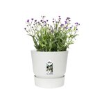 ELHO Pot de fleurs rond Greenville 30 - Extérieur - Ø 29,5 x H 27,8 cm - Blanc