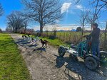 SMARTBOX - Coffret Cadeau Séjour au poil : 2 jours en gîte avec balade en Cani-Kart en famille près de Clermont-Ferrand -  Séjour