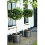 Pot de fleurs Rond - Plastique - Ø 40 - Noir