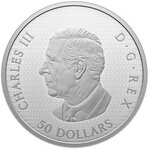 Pièce de monnaie en Argent 50 Dollars g 157.6 Millésime 2024 DRAGONFLY AND THE BLOOM