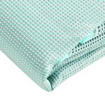 vidaXL Tapis de tente 500x250 cm Vert