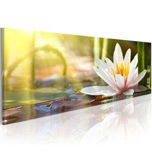 Tableau - lotus' glow l x h en cm 135x45