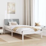 vidaXL Cadre de lit Blanc et gris clair 90 x 200 cm Bois massif en pin
