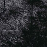 vidaXL Tapis shaggy à poils longs NAVARRA noir 160x230 cm polyester