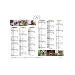 Calendrier mural  2022 - 27 x 21 cm - animaux