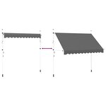 vidaXL Auvent manuel rétractable 300 cm Anthracite