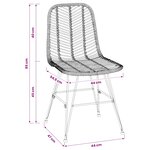 vidaXL Chaise de salle à manger 2 pc Rotin et métal Noir