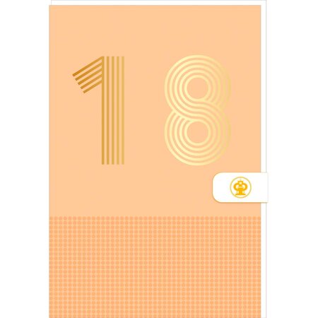Carte D'anniversaire 18 Ans En Or - Orange - A Message - Pour Ados Garçon Fille - 11 5 X 17 Cm - Draeger paris