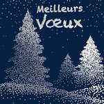 Carte carrée meilleurs vœux bonne année sapins argentés avec enveloppe blanche