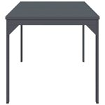vidaXL Table d'Extension Anthracite 180 x 80 x 76 cm Acier