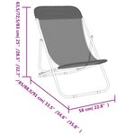 vidaXL Chaises plage pliantes lot de 2 textilène acier enduit poudre