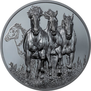 Pièce de monnaie en Argent 50 Cedis g 155.5 (5 oz) Millésime 2023 Growing Up STALLION