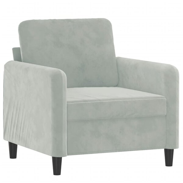 vidaXL Fauteuil Gris clair 60 cm Velours