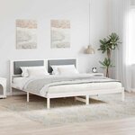 vidaXL Cadre de lit Gris clair 200 x 200 cm Pin massif