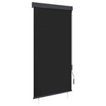 vidaXL Store roulant d'extérieur 80 x 250 cm Anthracite