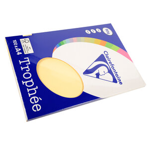 Ramette 100 Feuilles Papier 80g A4 210x297 mm chamois TROPHÉE