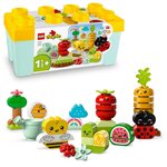 10984  Le jardin bio - Duplo