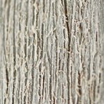 Keter abri de jardin artisan 117 gris brunâtre