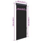 vidaXL Store roulant d'extérieur 60 x 250 cm Anthracite