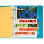 Intercalaires neutres maxi A4+ en carte lustrée, 12 divisions - Assortis (paquet 12 unités)