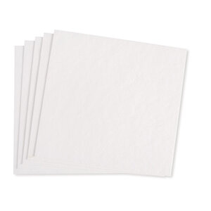 Panneaux de cellulose  blanc  20x21cm  5 pièces