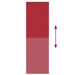 vidaXL Store enrouleur occultant rouge largeur du tissu 60 7 cm