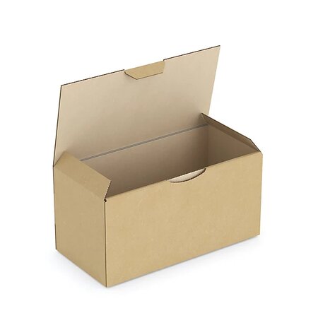 Boîte carton brune d'expédition rajapost 20x10x10 cm (lot de 50)