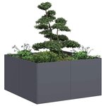 vidaXL Jardinière anthracite 80x80x40 cm acier laminé à froid