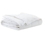 vidaXL Couette 200 x 220 cm Printemps  Automne Plume Blanc Respirant