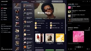 Audials One Standard 2026 - licence perpétuelle