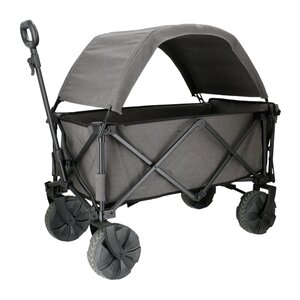 Travellife Chariot de plage Burano gris avec toit