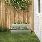 vidaXL Cache-pot de jardin Argent 100 x 60 x 45 cm Acier galvanisé