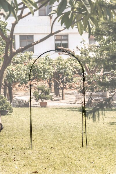 Support arceau pour plante - Suan - Accompagnement à la pousse - Dimensions : 137 x 38 x 243 cm