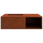 vidaXL Foyer de cheminée Marron 100 x 100 x 30 cm Acier patiné