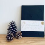 Hirondelles murales - Noir