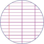 Répertoire piqûre 96 pages seyès 90 g  format 11 x 17 cm CLAIREFONTAINE