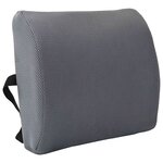vidaXL Coussin de Dos avec oreiller Gris 36 x 30 x 12 cm Avec filet