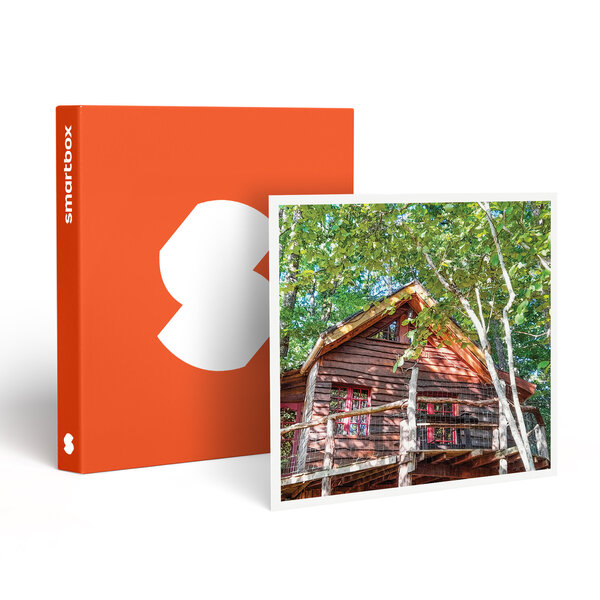 SMARTBOX - Coffret Cadeau Séjour dans les arbres : 2 jours en famille dans une cabane et tyrolienne près de Tarbes - Séjour