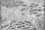 Monnaie WATER LILIES Monet 1/2 Oz Argent 1$ Samoa 2026 (PRÉCOMMANDE)