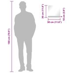 vidaXL Miroir mural avec étagère 30x30 cm Verre trempé