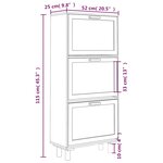 vidaXL Armoire à chaussures Noir 52x25x115 cm Bois d'ingénierie/rotin