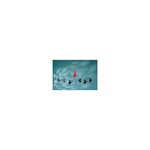 Hans Christian Andersen Ballet - Black