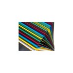 Trieur Harmonika fenêtres imprimées sans élastique Nature Future carte lustrée 24 c... EXACOMPTA